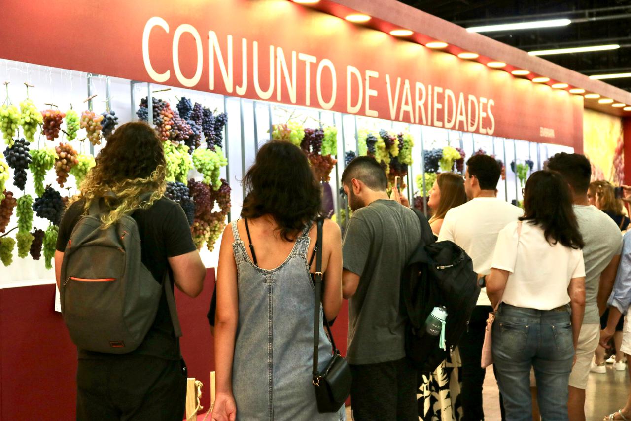 Crédito Mayara Bergamo-1765832381.jpeg